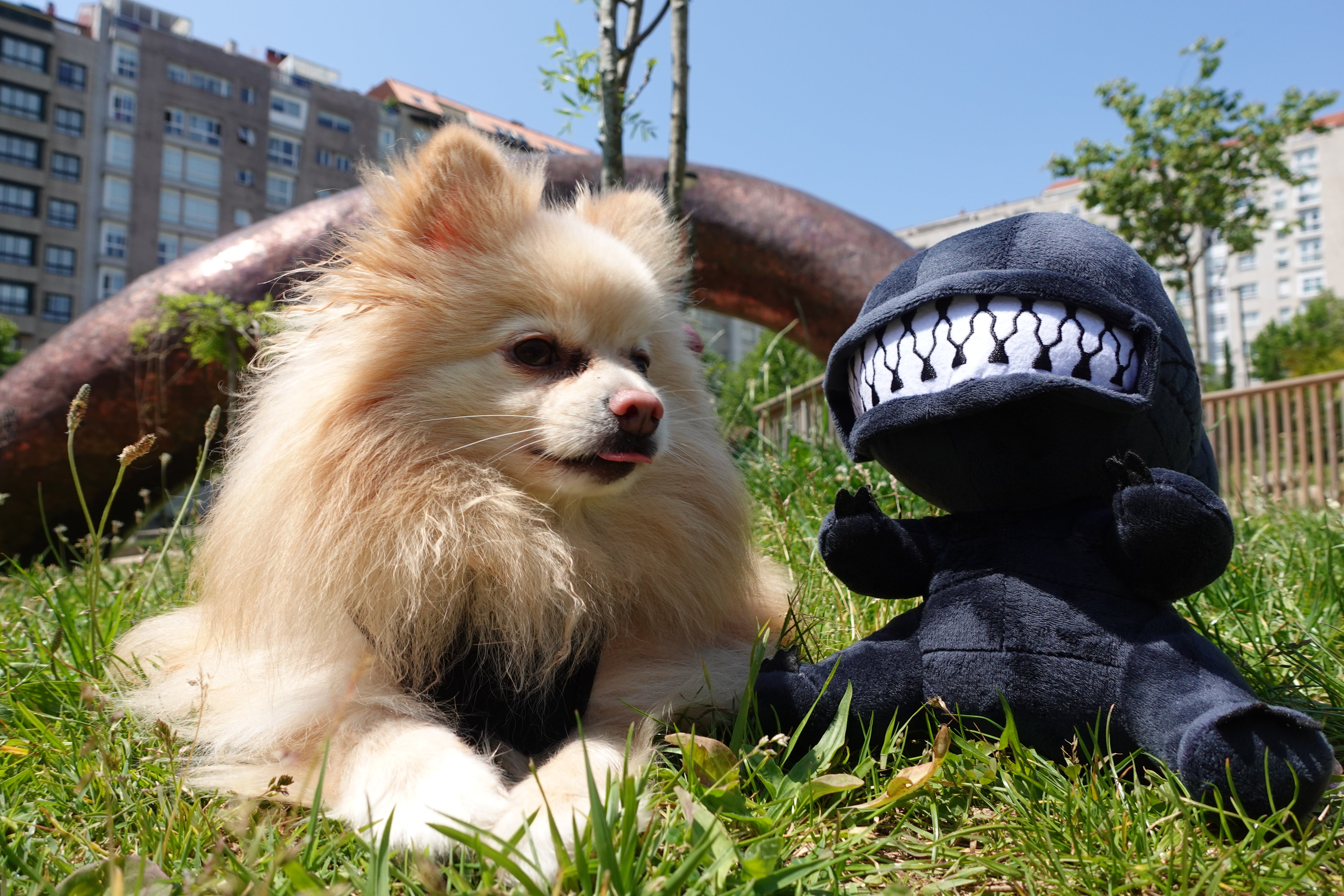 Board Game Exclusives Pomeranion Dog and Alien Plushie Mascots Sitting Outside in Park